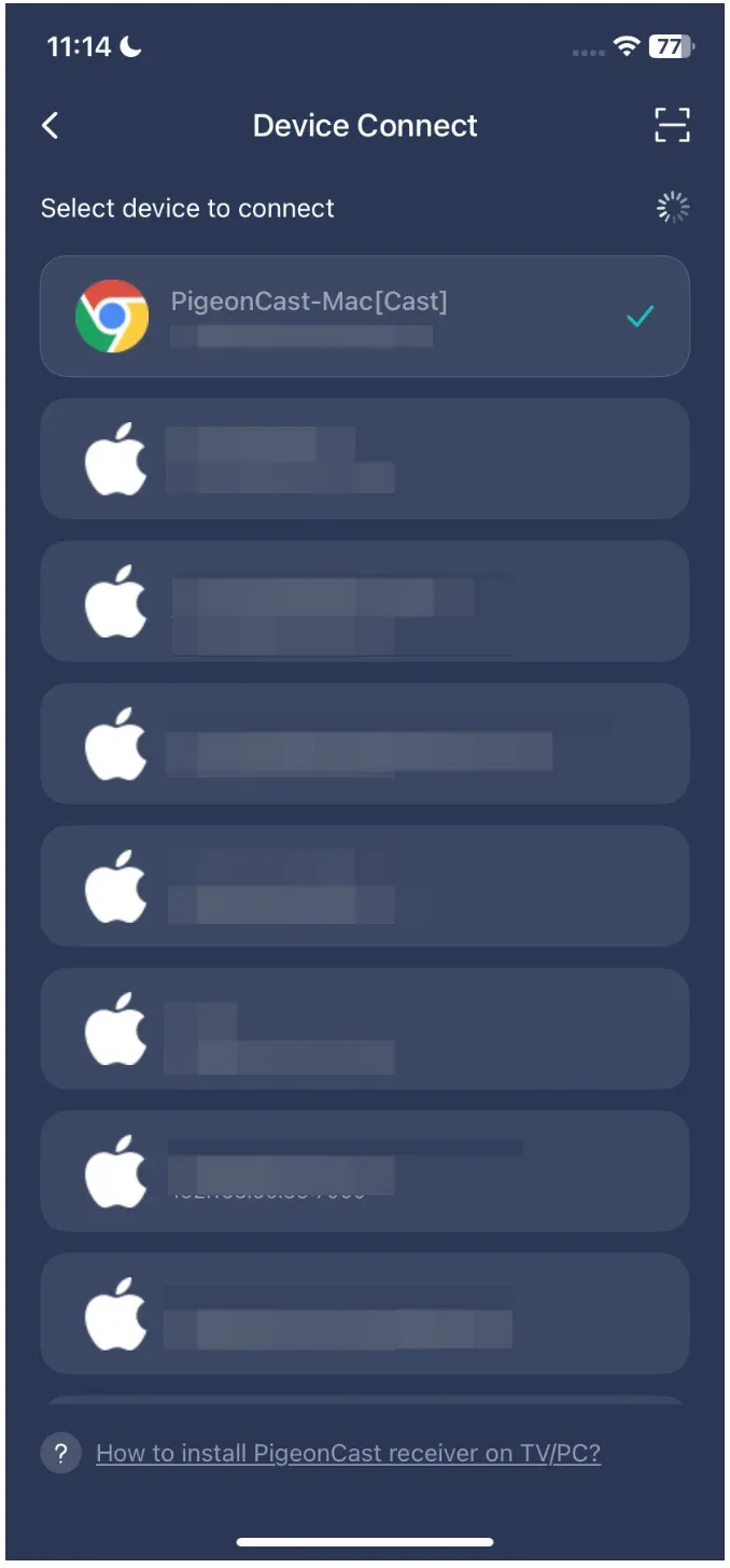 start mirroring with PigeonCast on iPhone