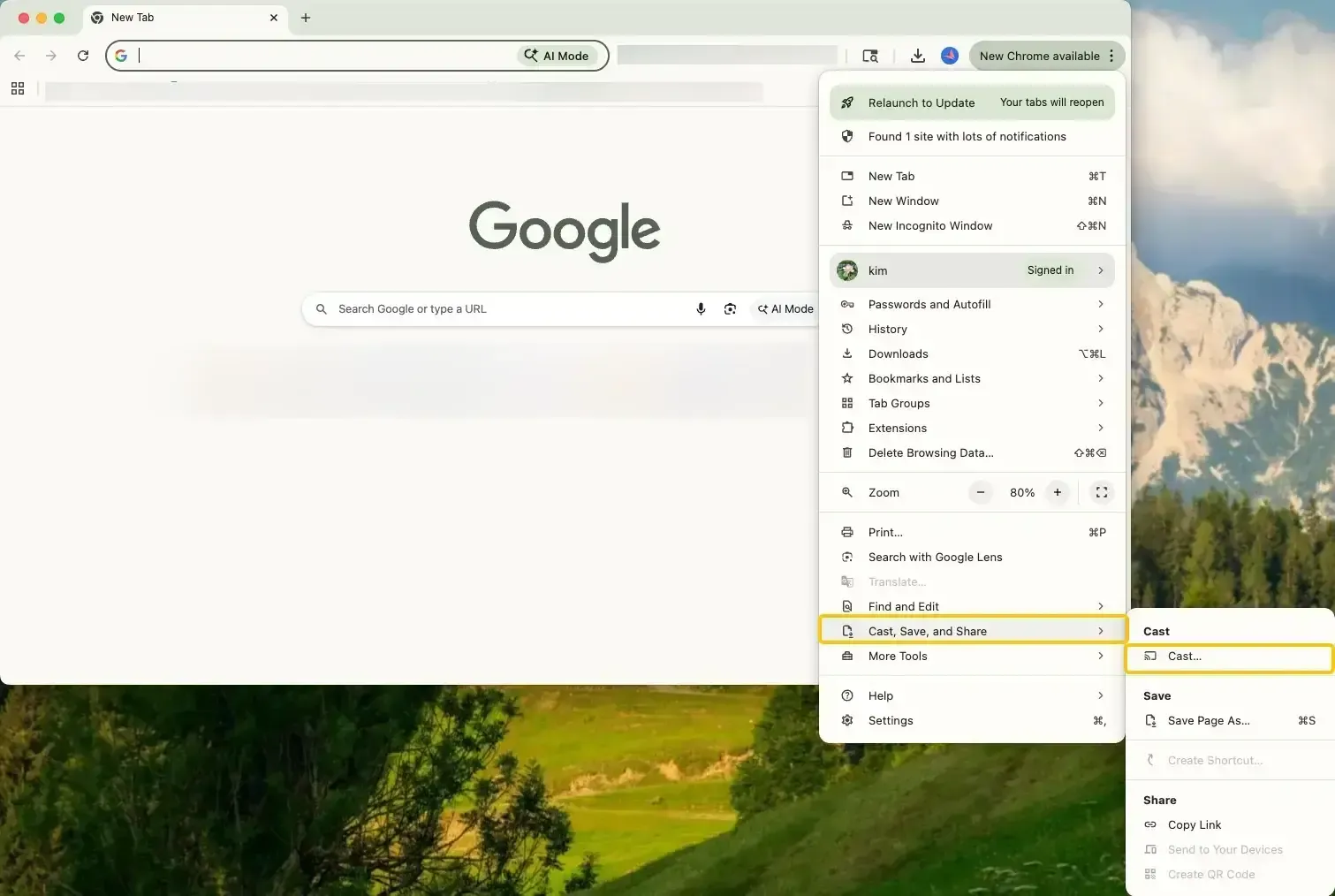 AirPlay from Chrome