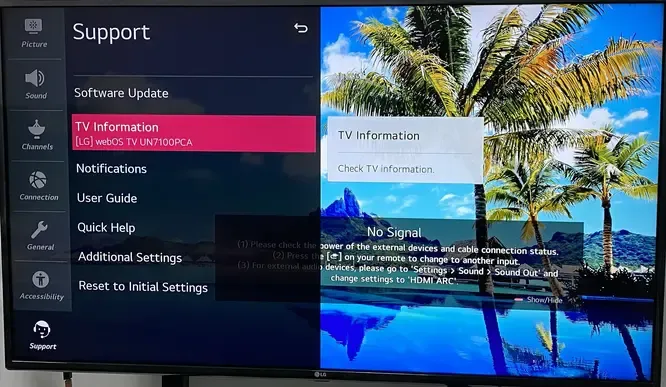 TV information on LG TV