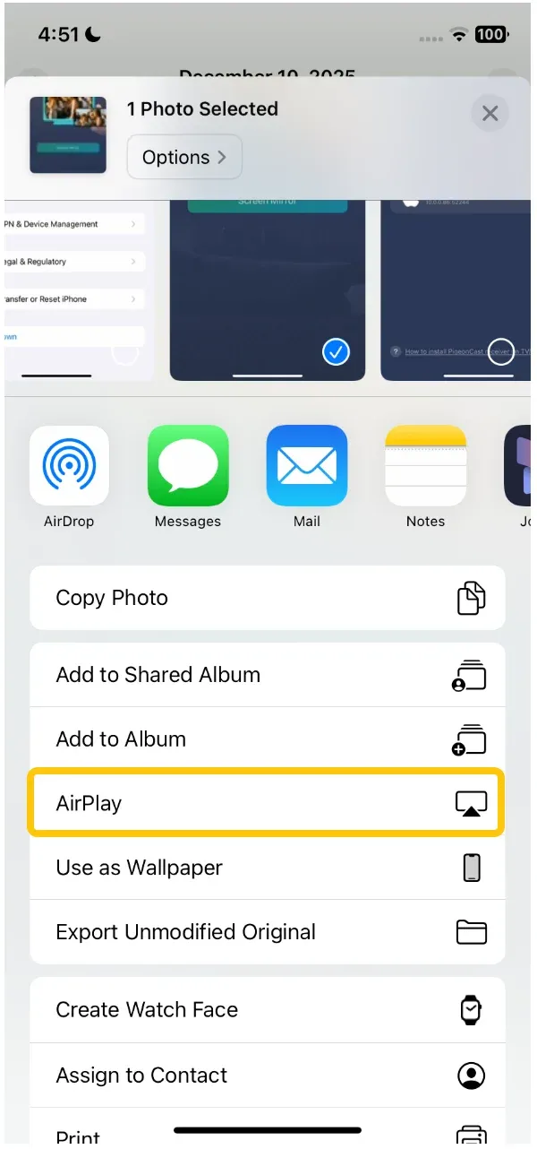 choose AirPlay from Sharing options