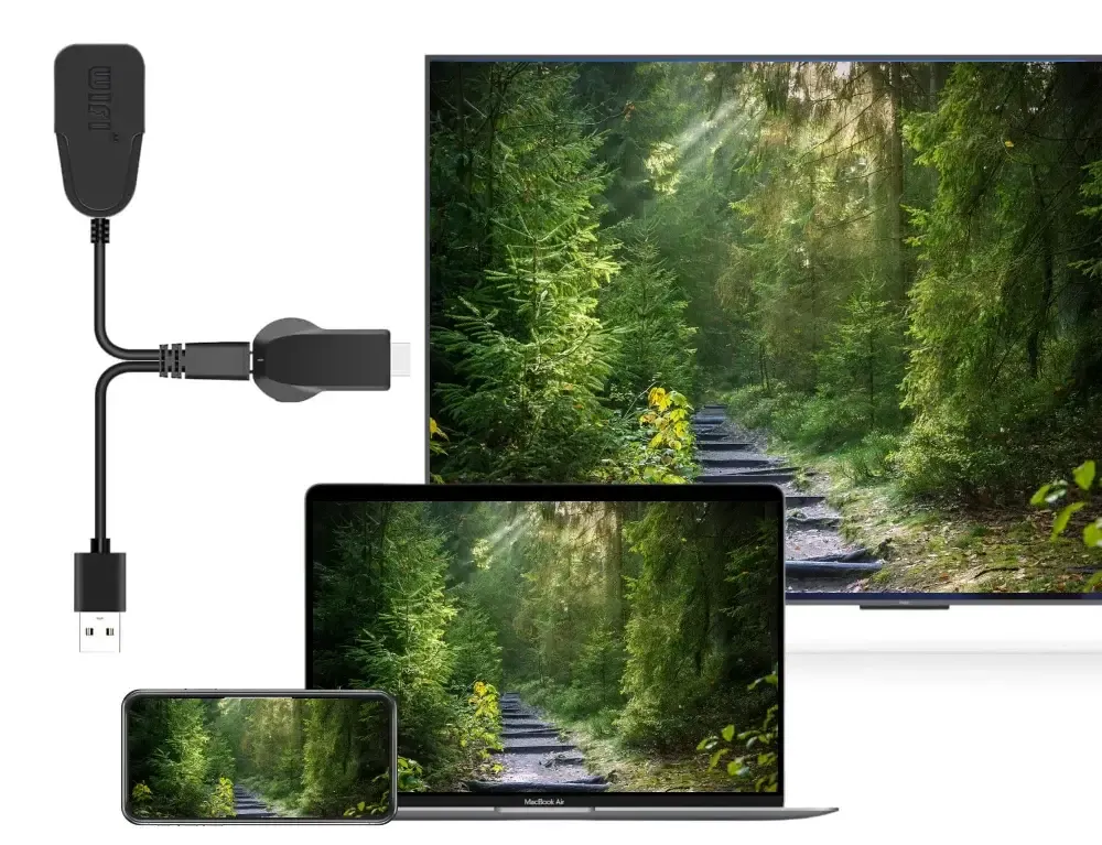 connect AnyCast into TV for screen mirroring