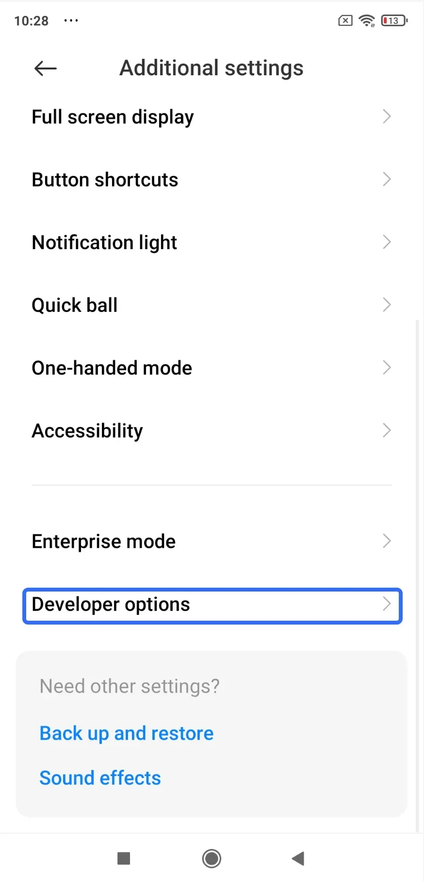 find Developer options in Additional settings menu