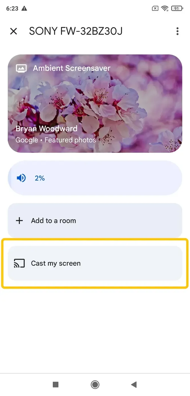 Cast my audio option