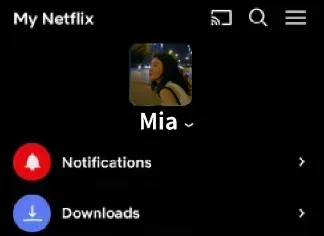 AirPlay icon on Netflix