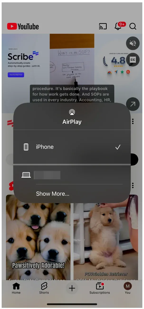 choose target AirPlay-supported device