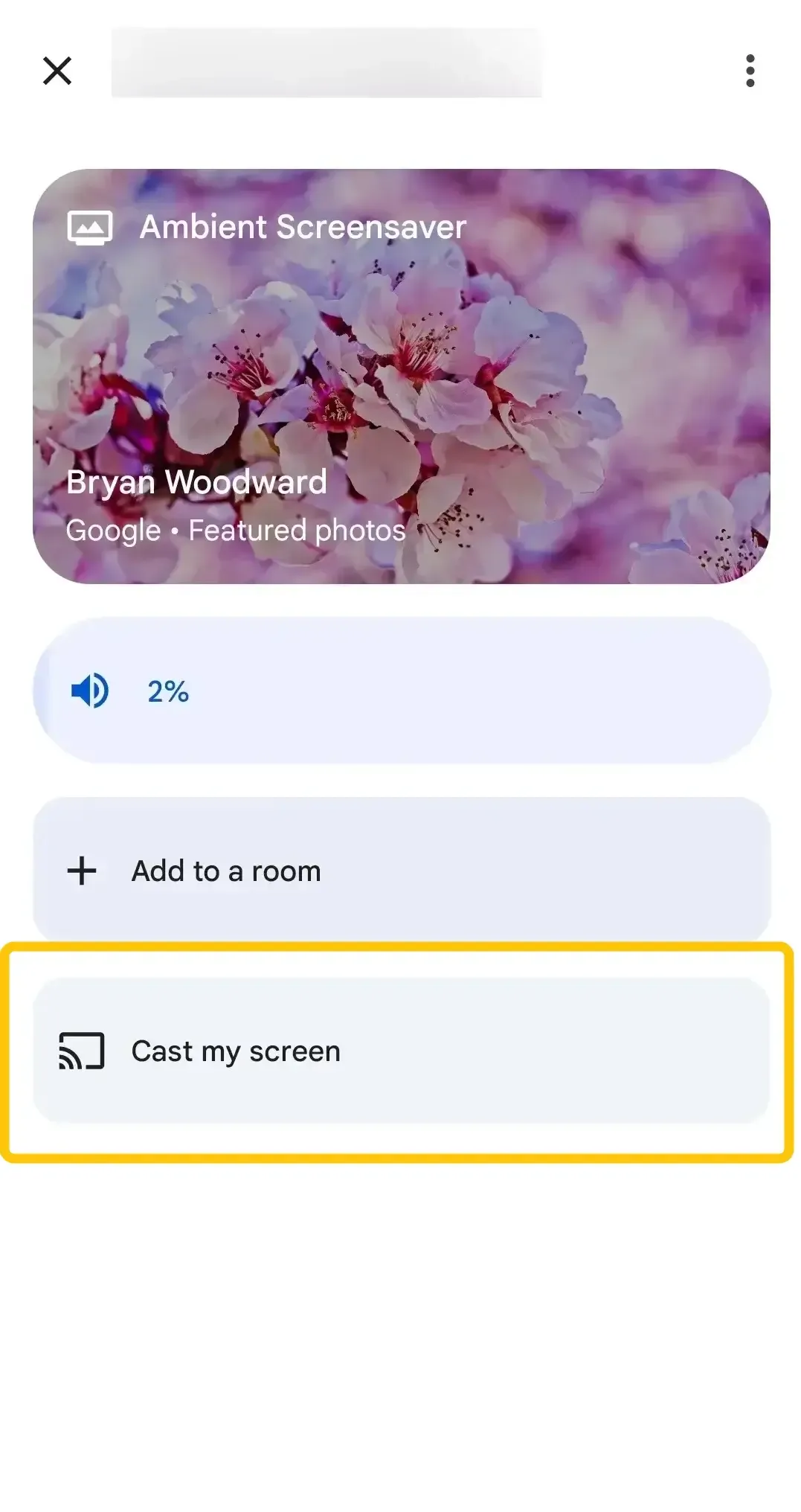 Cast my screen