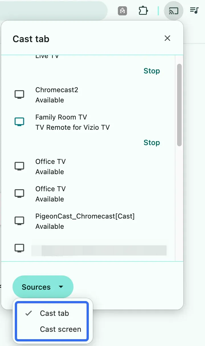 choose Cast tab from the Source menu