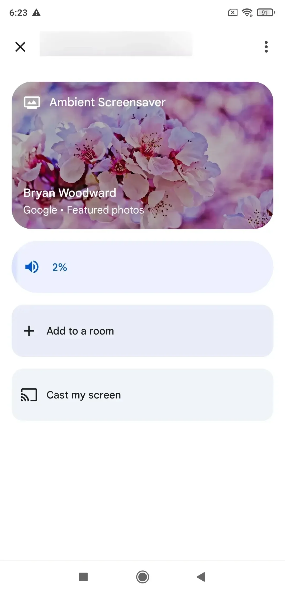 Cast my screen on Google Home