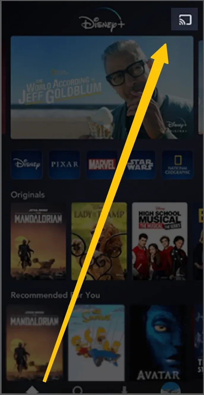 Cast icon in Disney Plus