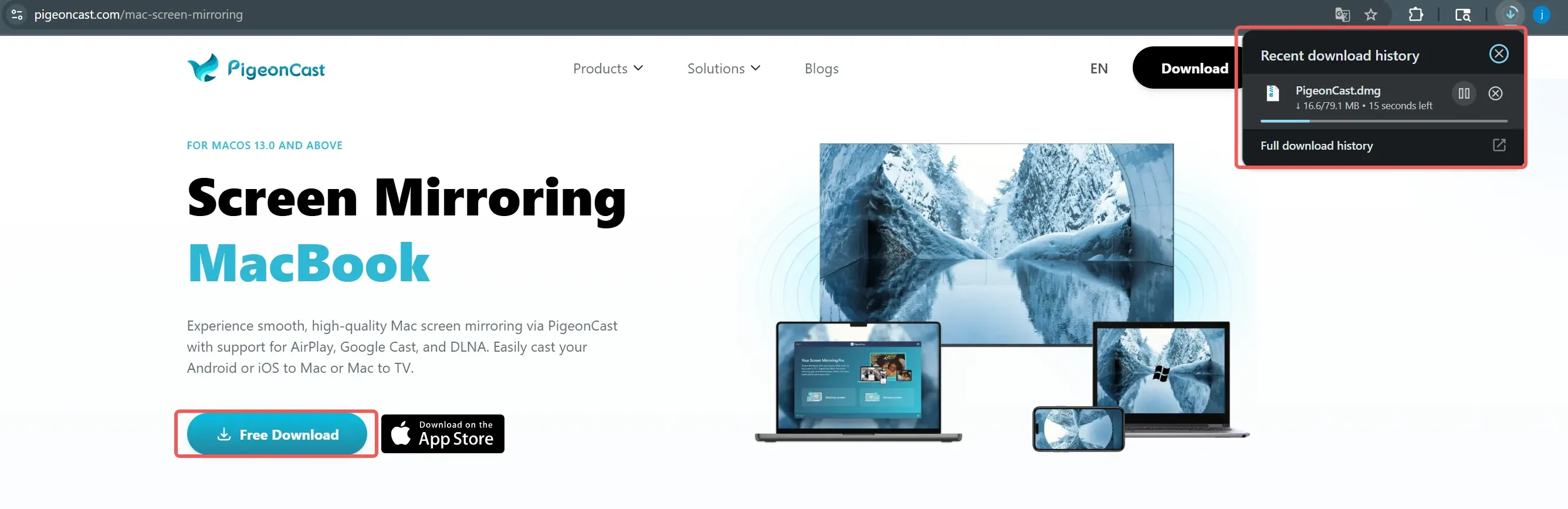 Descargar PigeonCast directamente