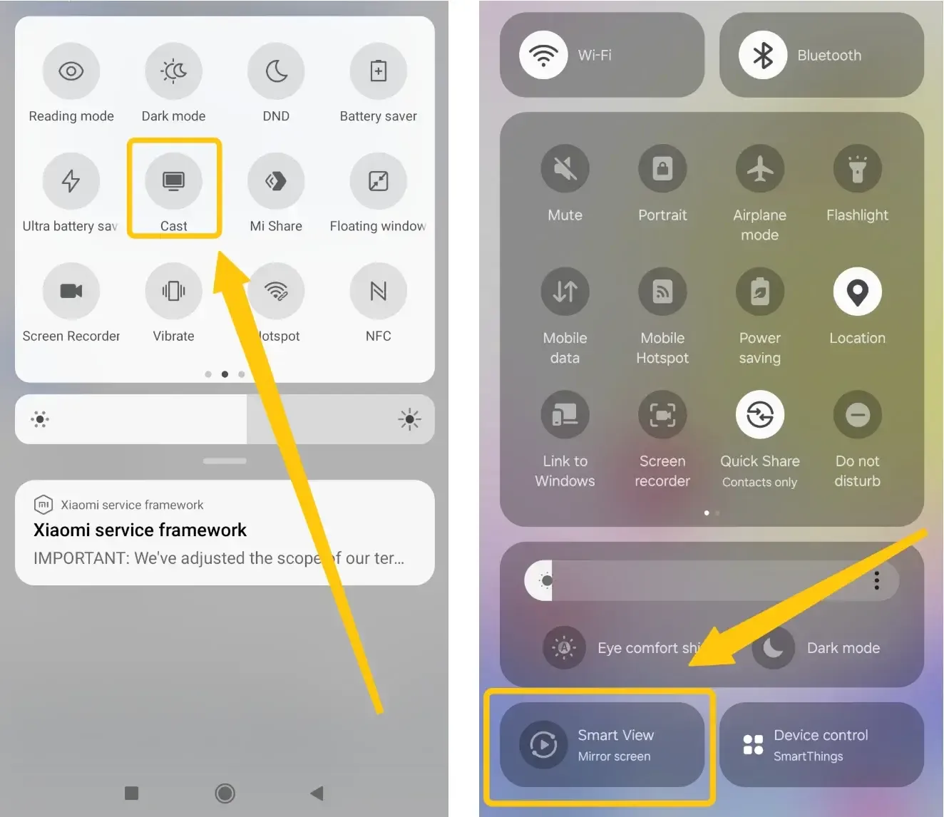 Cast and Smart View option