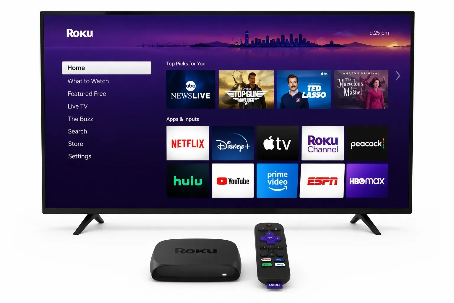 install Netflix on TV