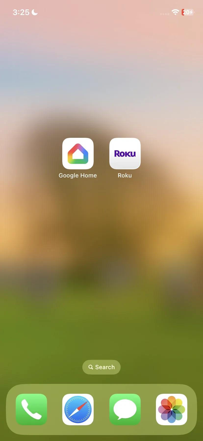 Google Home and Roku mobile app