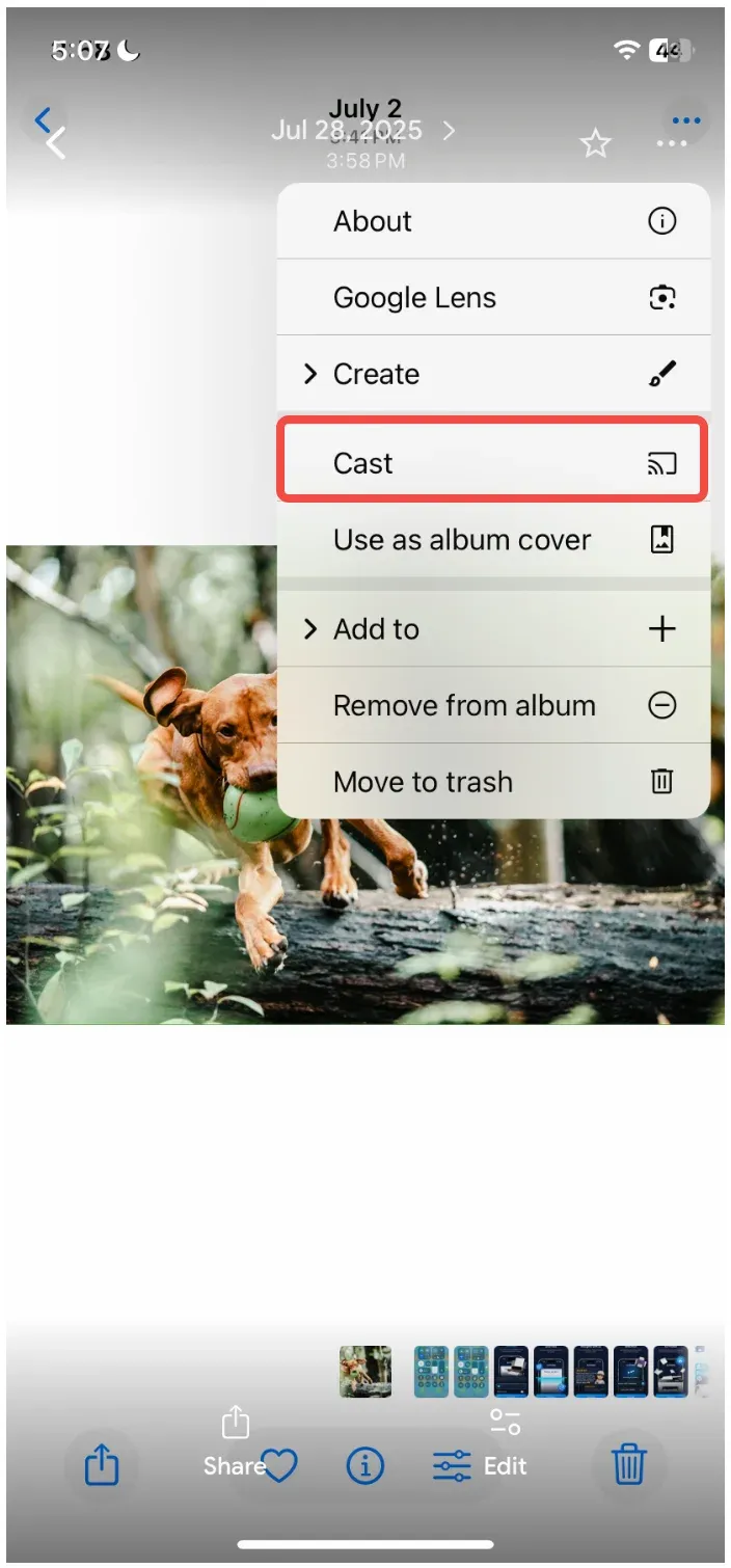 the Cast icon on Google Photos