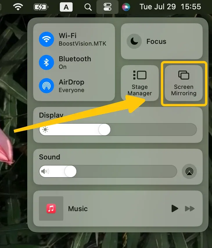 Screen Mirroring on Mac