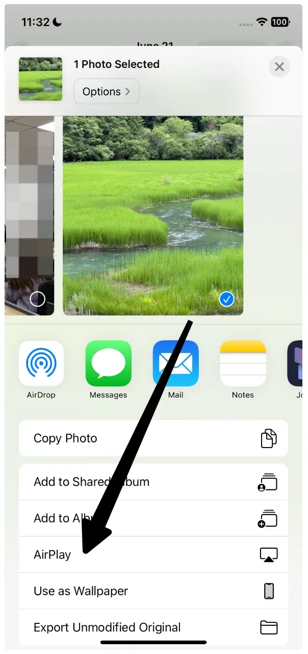 choose AirPlay from Share menu