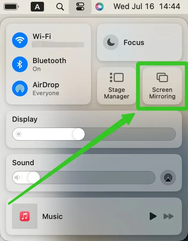 Screen Mirroring option