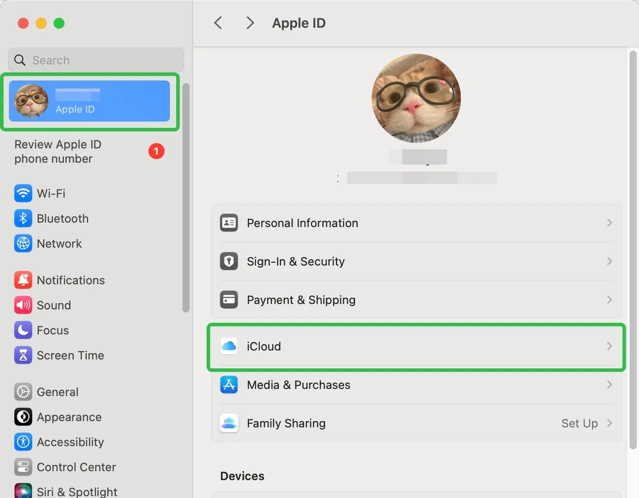 iCloud on Mac