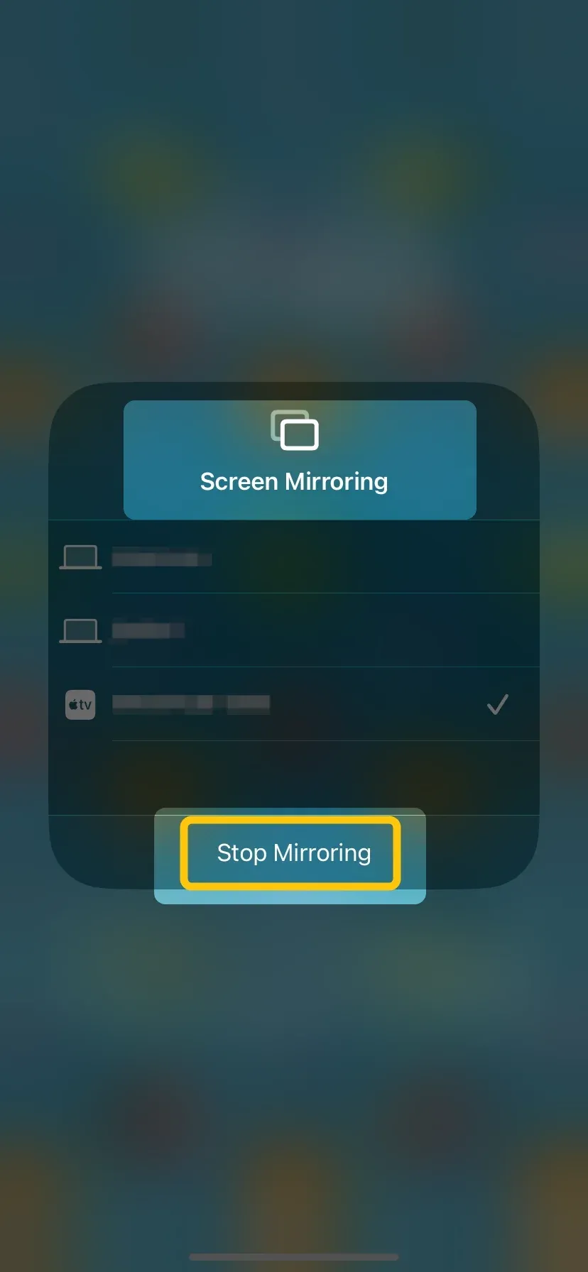 Stop Mirroring option