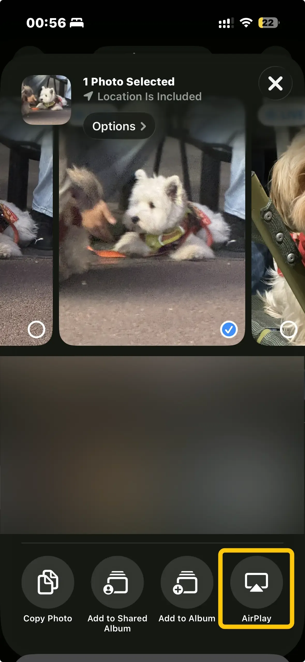 AirPlay icon in Photos