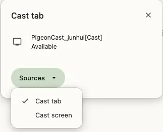 Casting options in the Cast menu