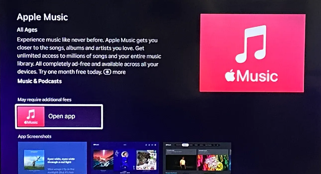 search for Apple Music on Roku TV