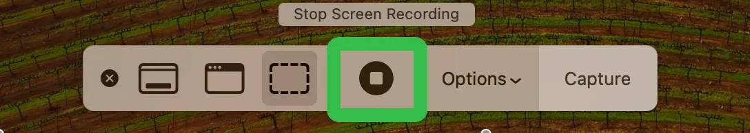 Stop button
