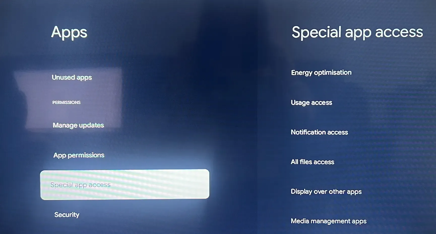 find Special app access on Google TV