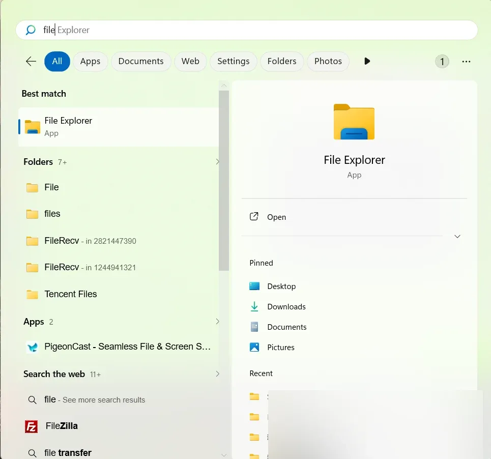 File Explorer on Windows