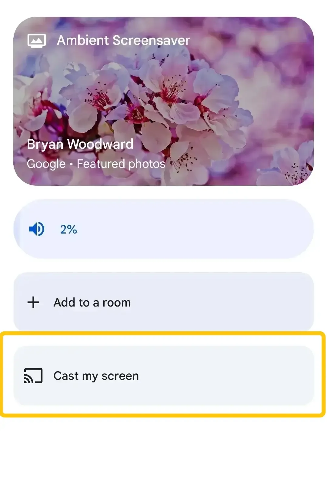 Cast my screen