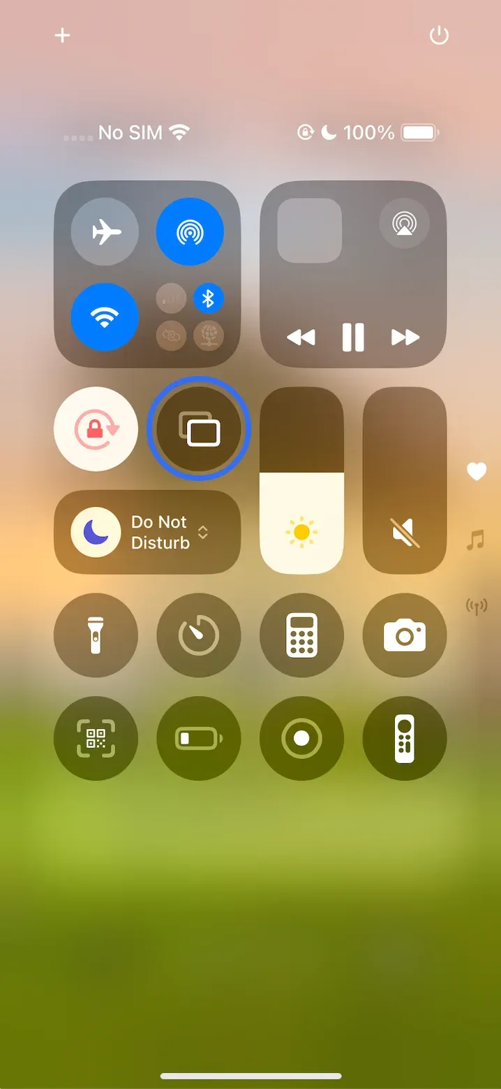 Sreen mirroring feature on iPhone