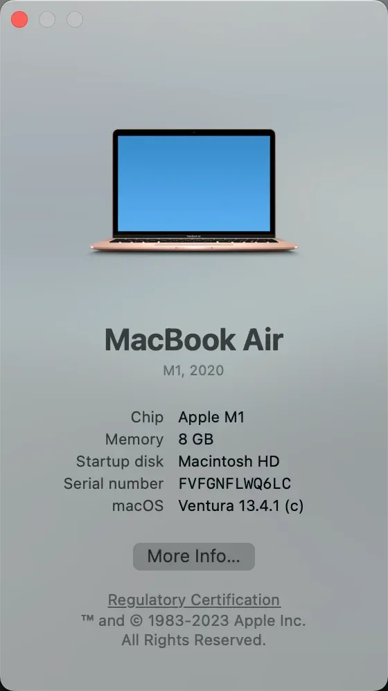 check Mac model