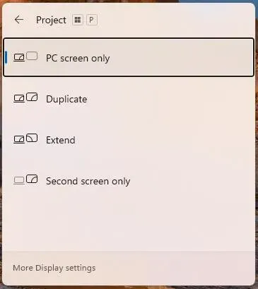 Project menu on Windows
