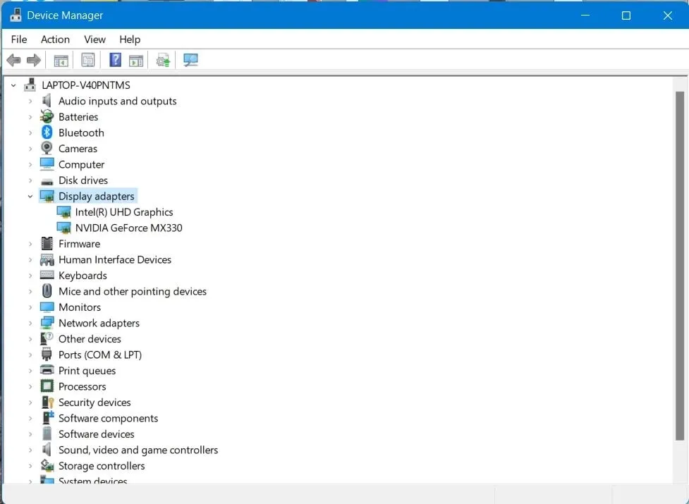 Device Manager menu on Windows
