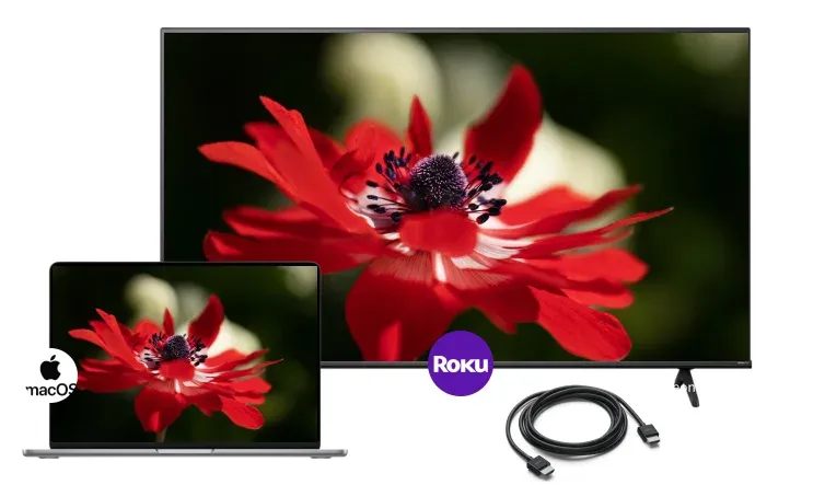 mirror Mac to Roku with HDMI cable