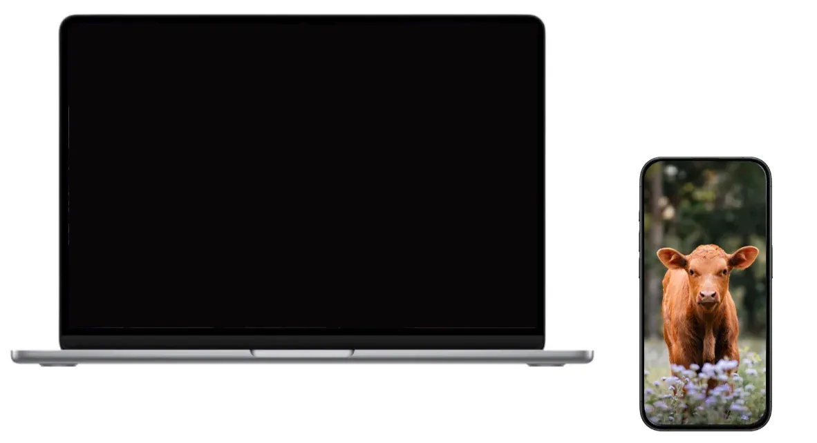 screen mirroring black screen