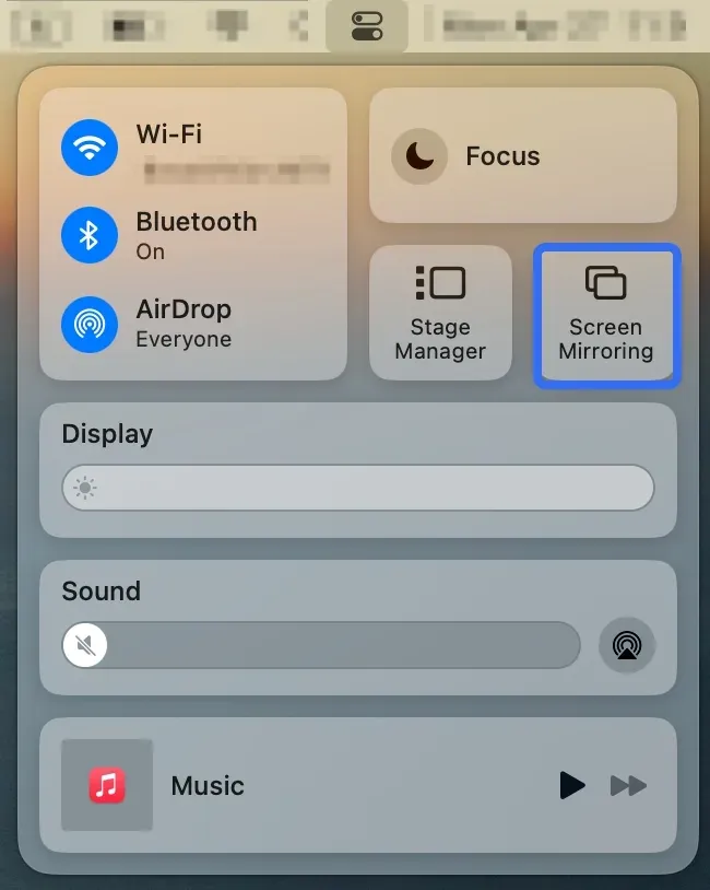 enable Screen Mirroring on Mac