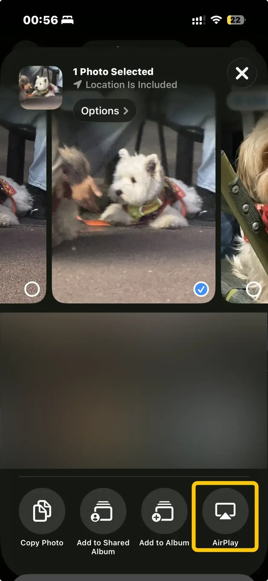 AirPlay icon in Photos