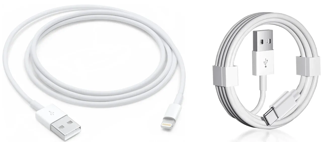 Lightning zu USB-A oder Lightning zu USB-C