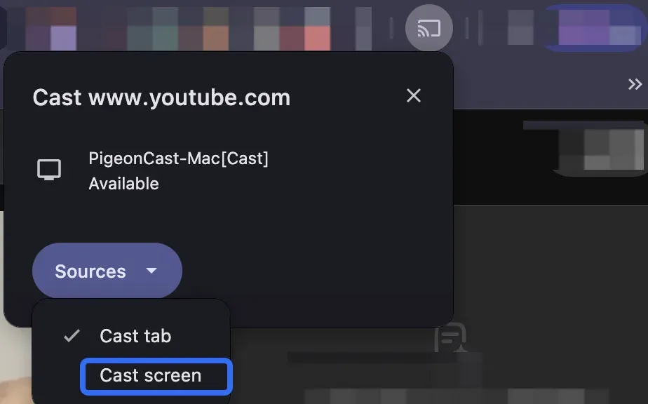 set the Source menu to Cast screen