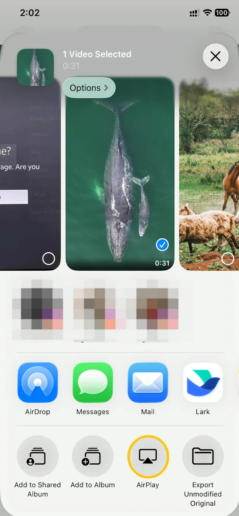 share a video from Photos via AirPlay on iPhone