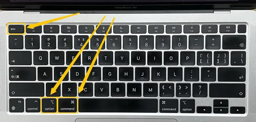 Command (⌘) + Option + Esc