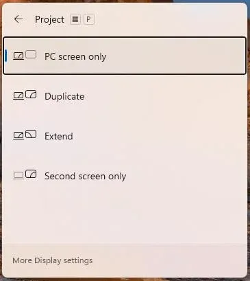 Project menu on Windows