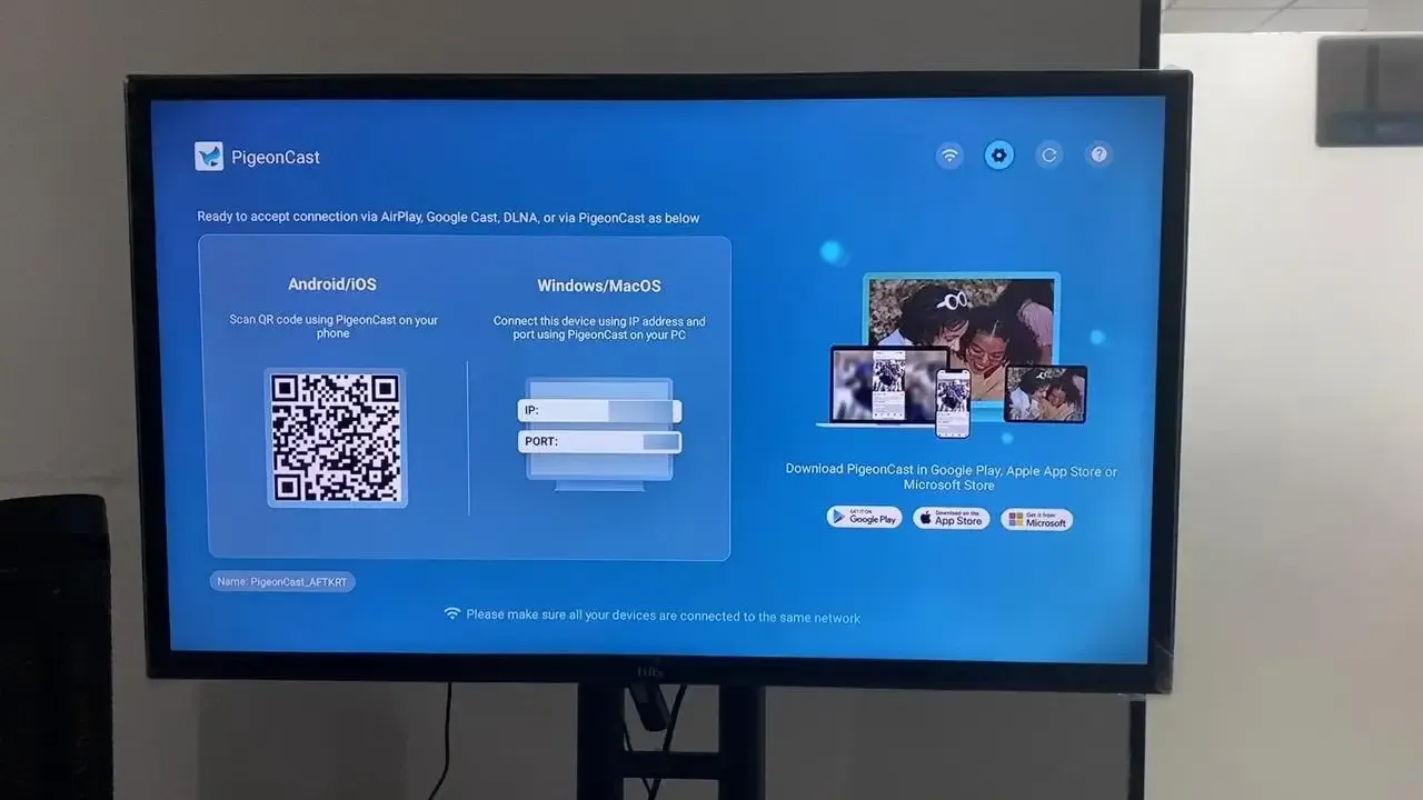PigeonCast on TV